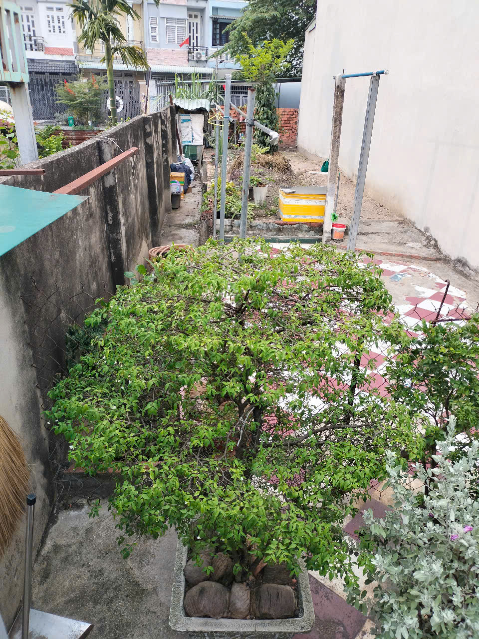 Chính Chủ Bán Gấp Đất nền Trần Thị Cờ Q.12, 4-17m, Chỉ 3.67 tỷ